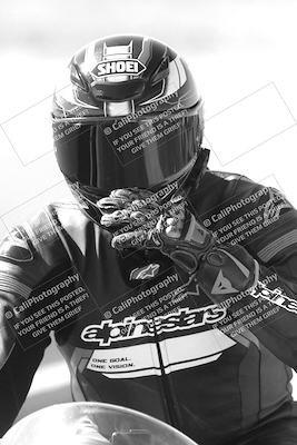media/Mar-08-2025-TrackXperience (Sat) [[277b597a28]]/1-Around the Pits - Pre Grid/